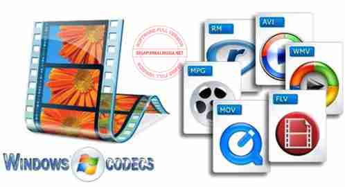 mpeg 2 codec download windows 10